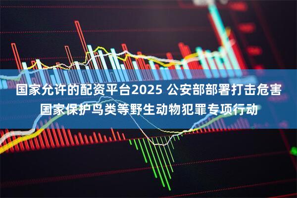 国家允许的配资平台2025 公安部部署打击危害国家保护鸟类等野生动物犯罪专项行动