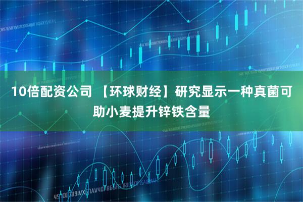 10倍配资公司 【环球财经】研究显示一种真菌可助小麦提升锌铁含量